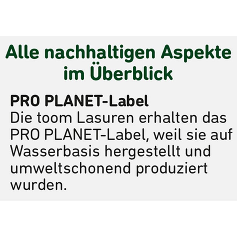 Holzisoliergrund weiß 2,5 l