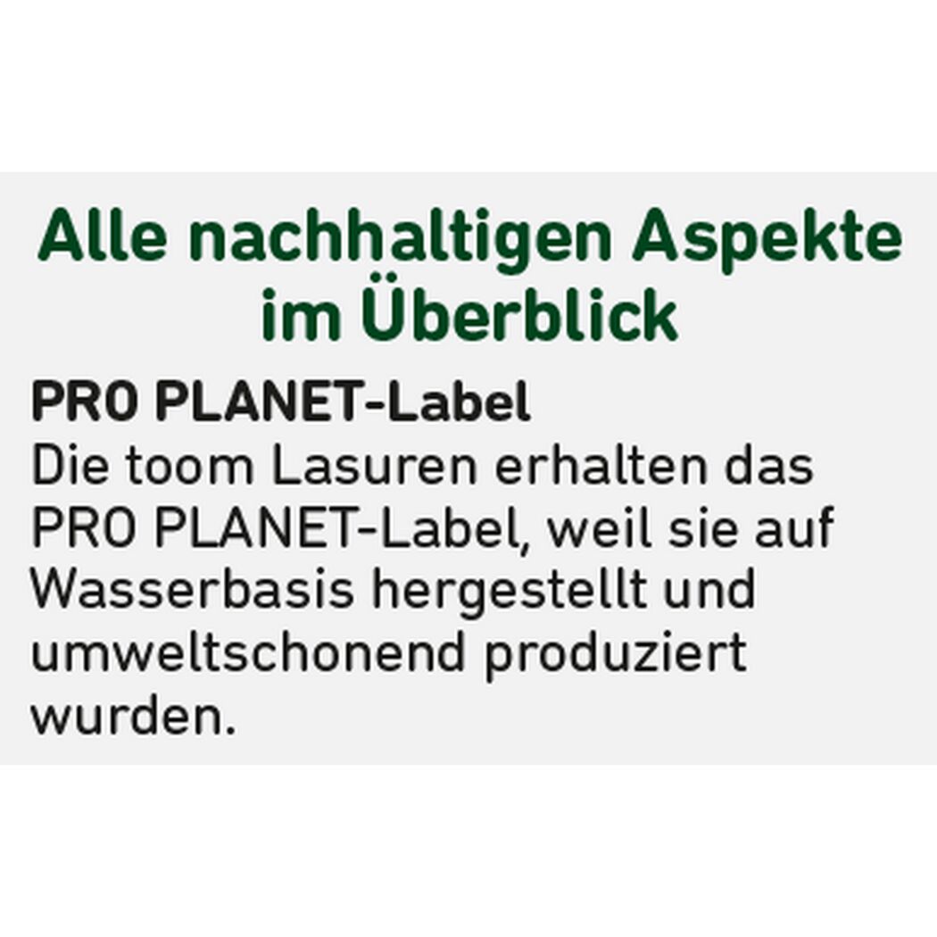Holzisoliergrund weiß 750 ml
