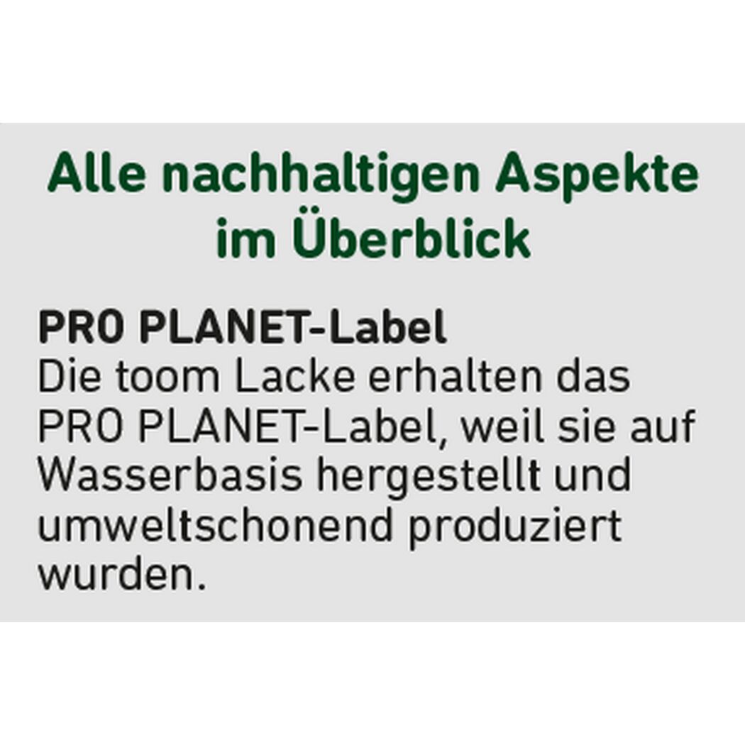 2in1 Weißlack seidenmatt 750 ml