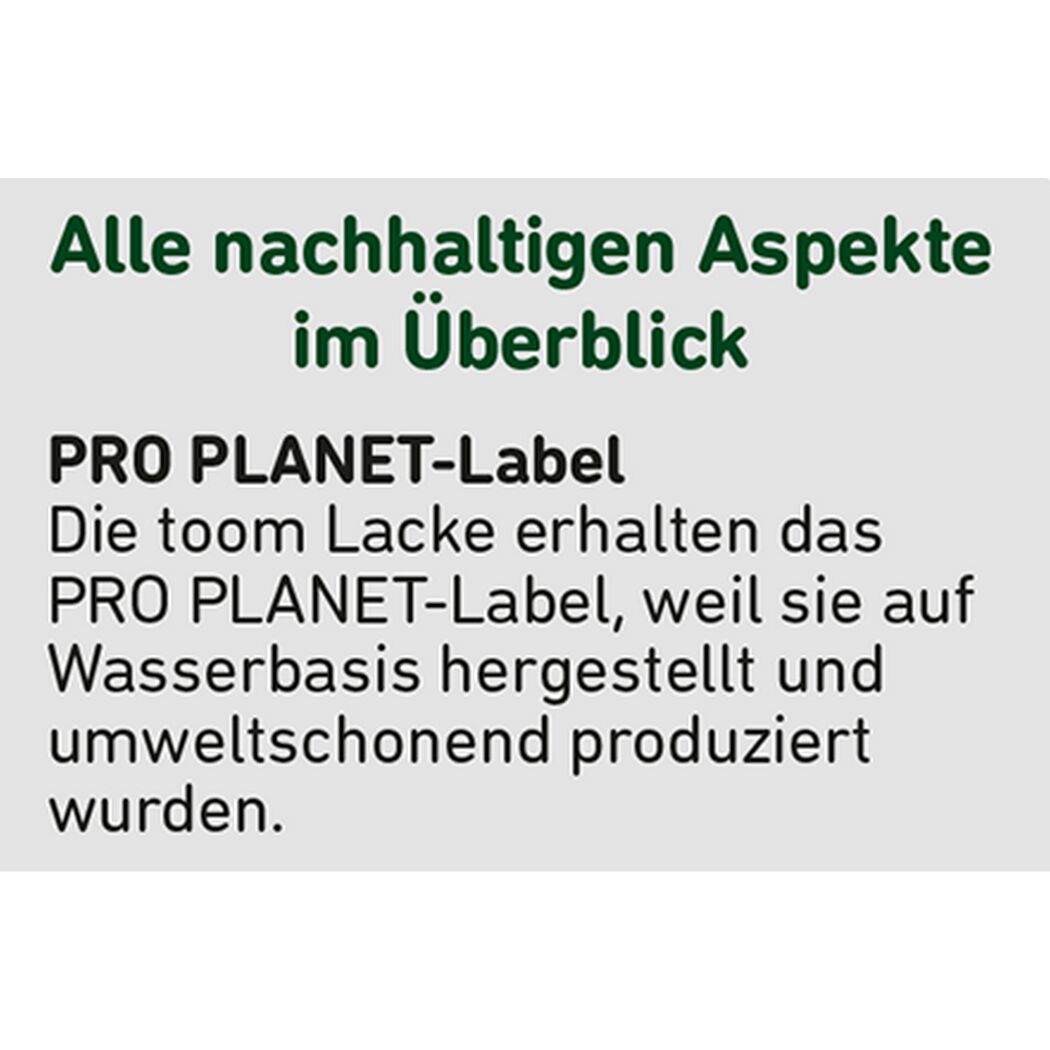 2in1 Buntlack 'Eisblume' weiß matt 2,5 l