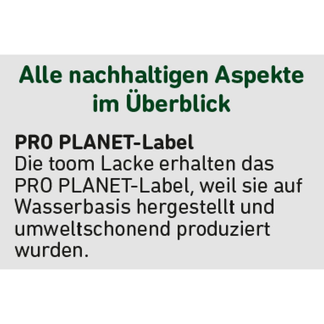 2in1 Weißlack glänzend 750 ml
