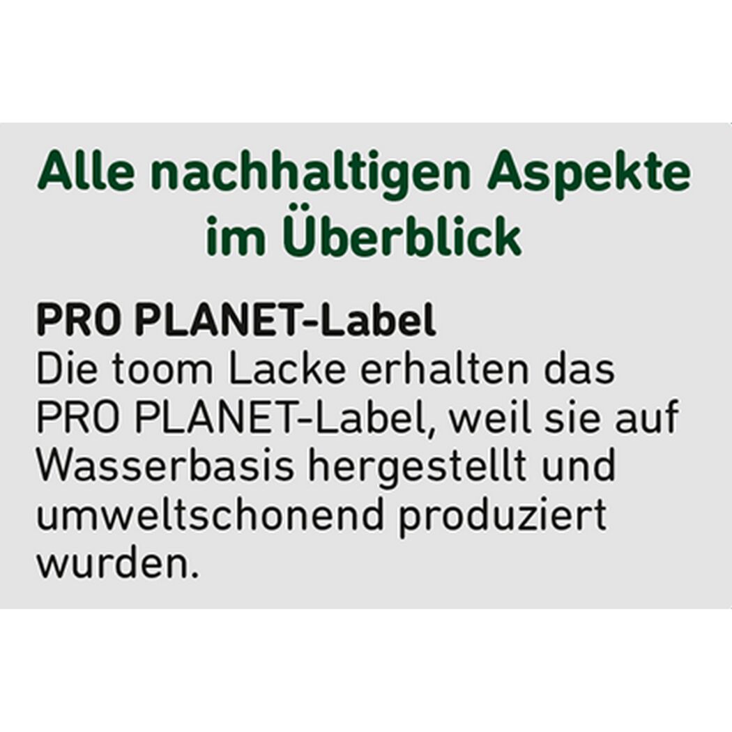 2in1 Buntlack 'Bergkristall' cremeweiß seidenmatt 2,5 l