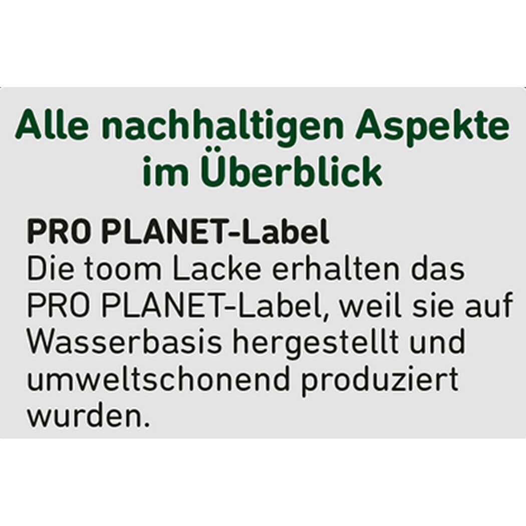 2in1 Fußbodenlack blaugrau 2,5 l