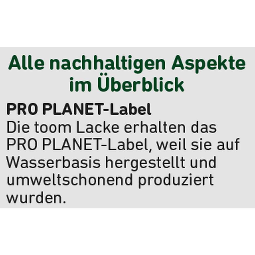 2in1 Heizkörperlack weiß glänzend 750 ml