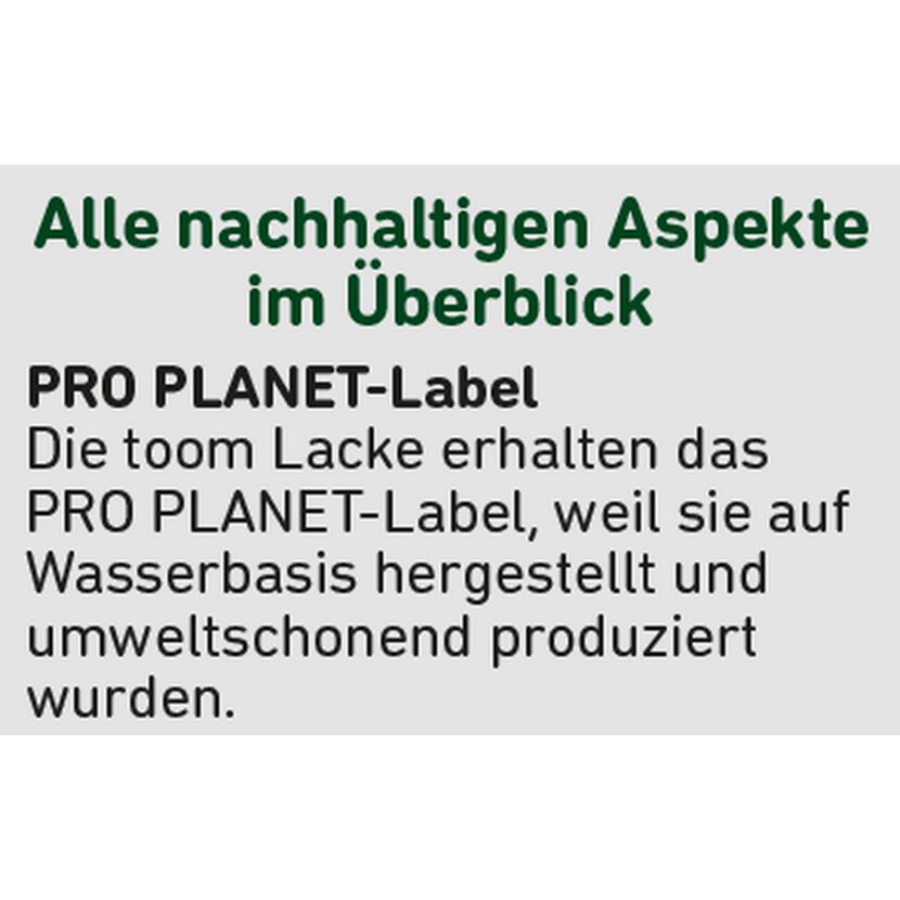 2in1 Fenster- und Türenlack weiß glänzend 750 ml