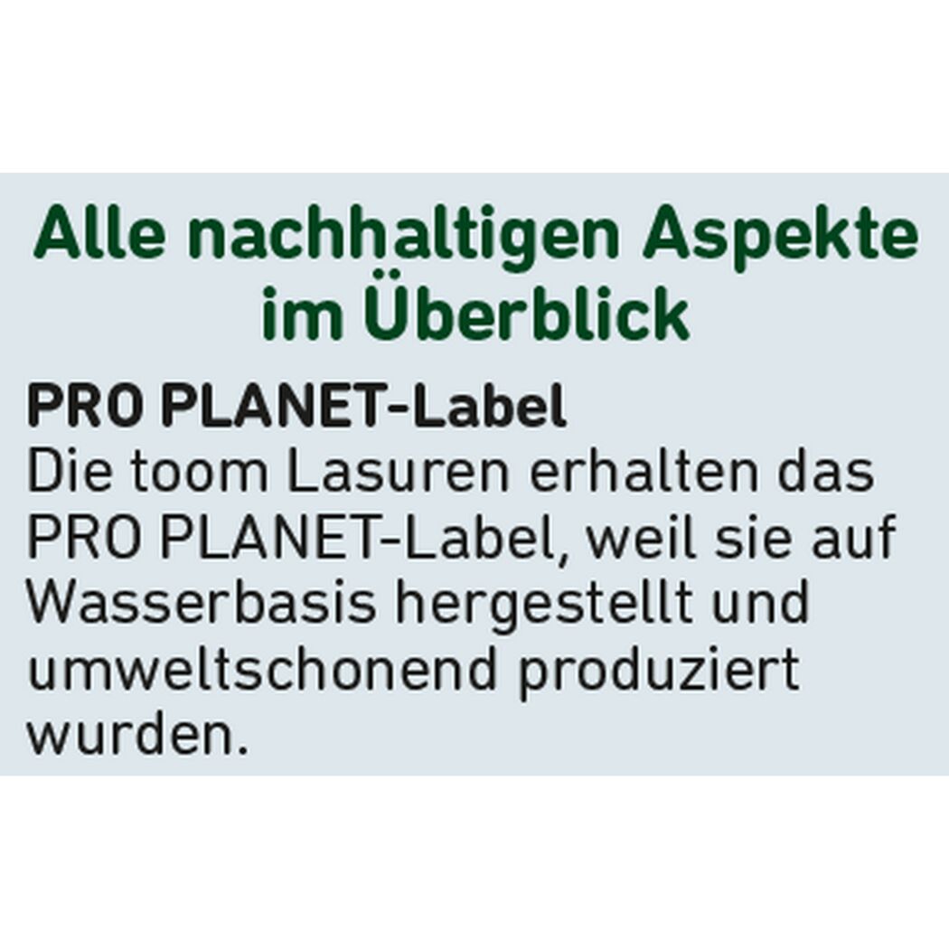 Wetterschutz-Lasur kieferfarben 750 ml