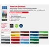 Universal-Sprühlack 'Schattenspiel' anthrazitfarben glänzend 400 ml