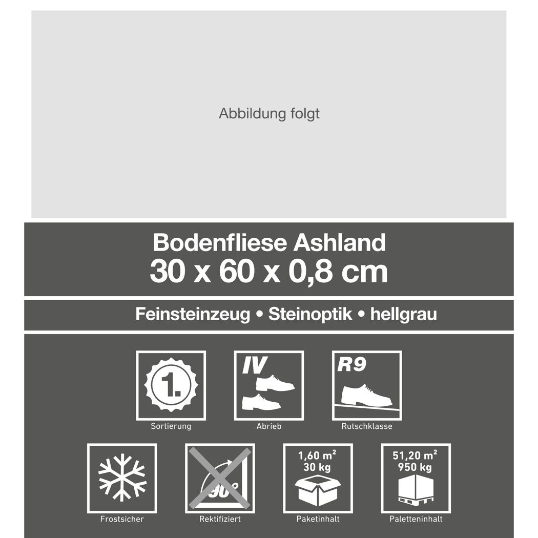 Bodenfliese Ashland hellgrau 30 x 60 cm