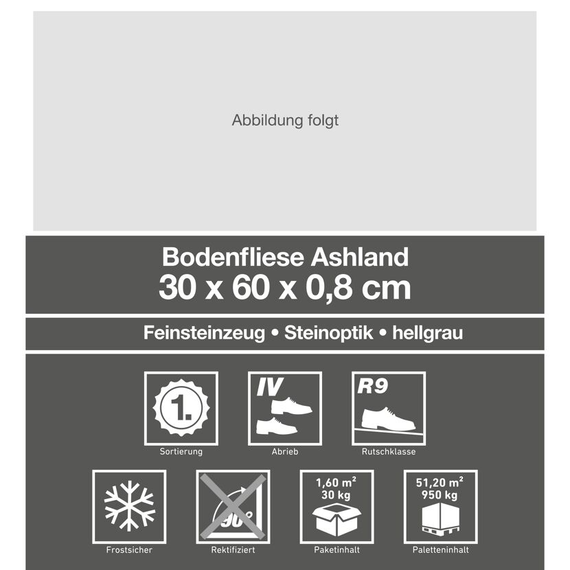 Bodenfliese Ashland hellgrau 30 x 60 cm