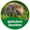 Igel im Gras. Igelschutz beachten.